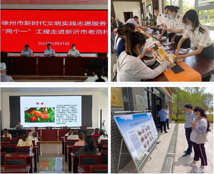  “六联”并举强根基，智融徐州迎盛会